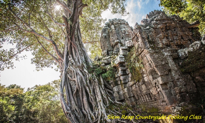 Preah Khan Temple Siem Reap