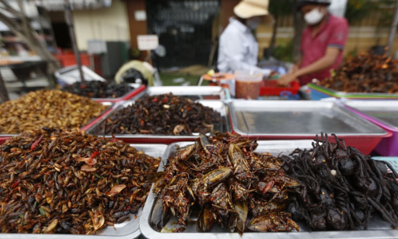 The Siem Reap Customers Eating Insects